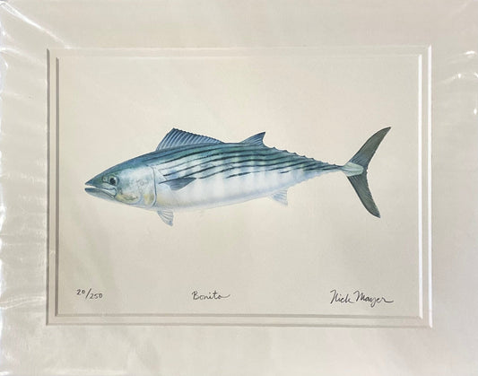 Bonita Giclee Print Nick Mayer Inventory