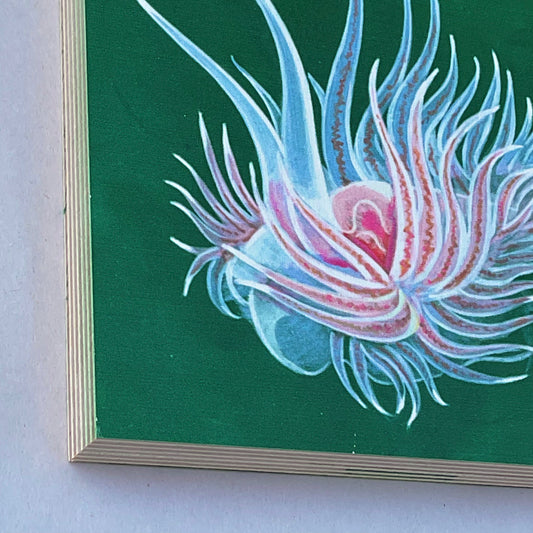 "Cumanotus Nudibranch" on Wood Panel Stephen Holman Consignment