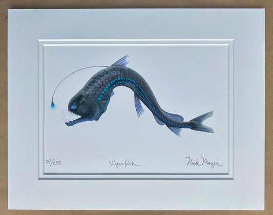 Deep Sea Giclee Print Collection Nick Mayer Consignment Viperfish