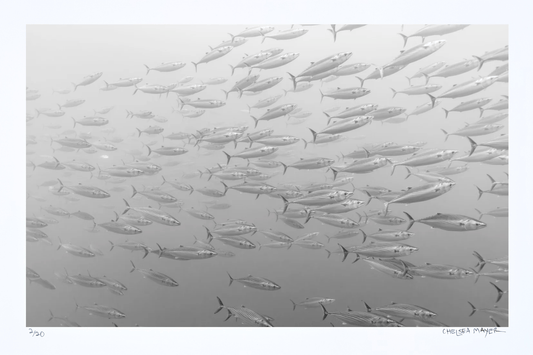 "Edge of the Pacific" Limited Edition Print Chelsea Mayer Consignment