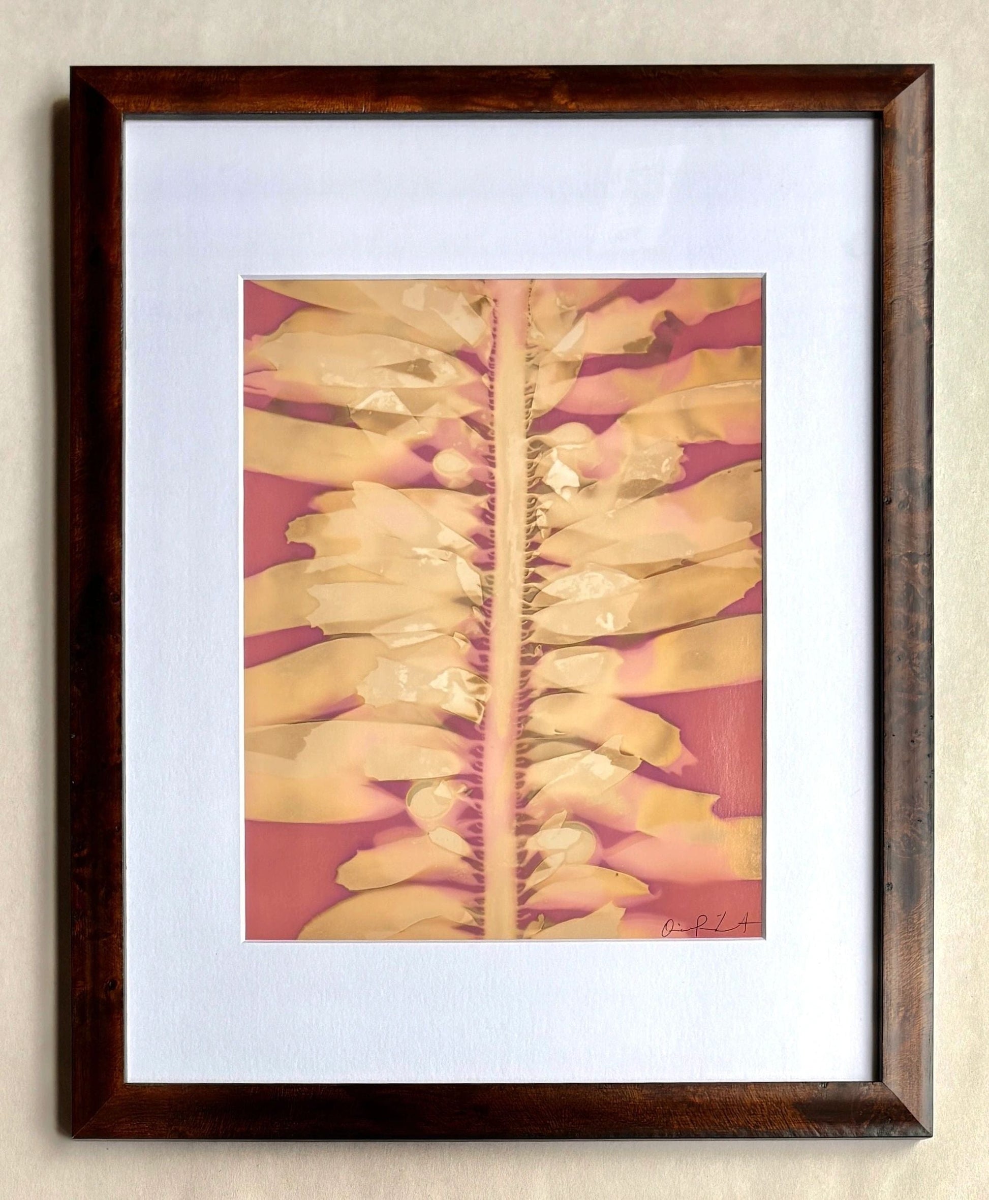 "Feather Boa Study 12" Original Cyanotype O Poindexter Consignment