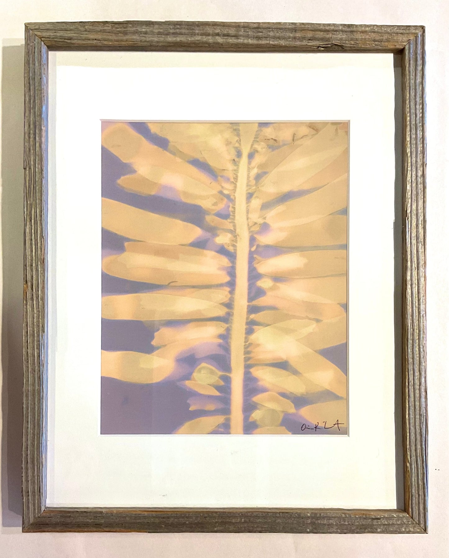 "Feather Boa Study 18" Original Lumen Print O Poindexter Consignment