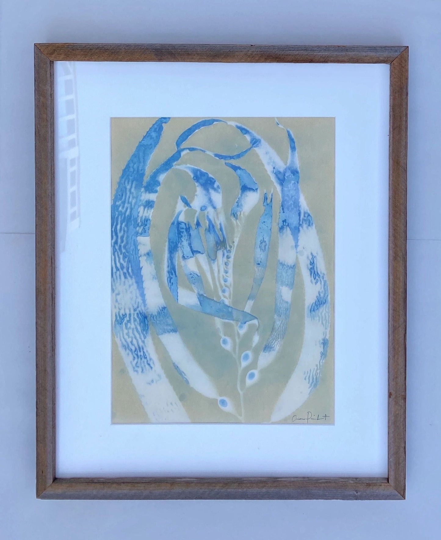 "Giant Kelp Study 48" Original Cyanotype, Algae Toned O Poindexter Consignment
