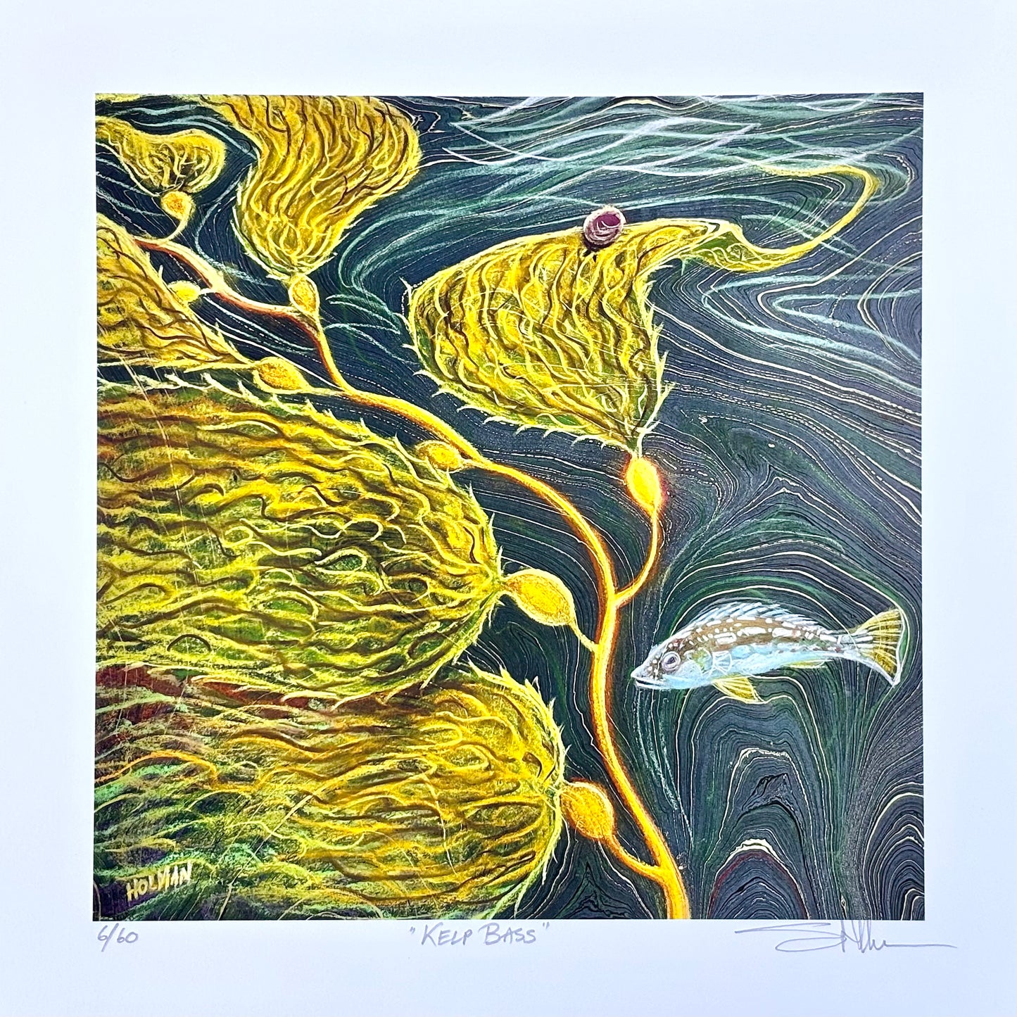 "Kelp Bass" Giclee Print Stephen Holman Consignment