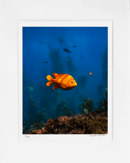 "Local's Summer" Limited Edition Photograph Chelsea Mayer Consignment