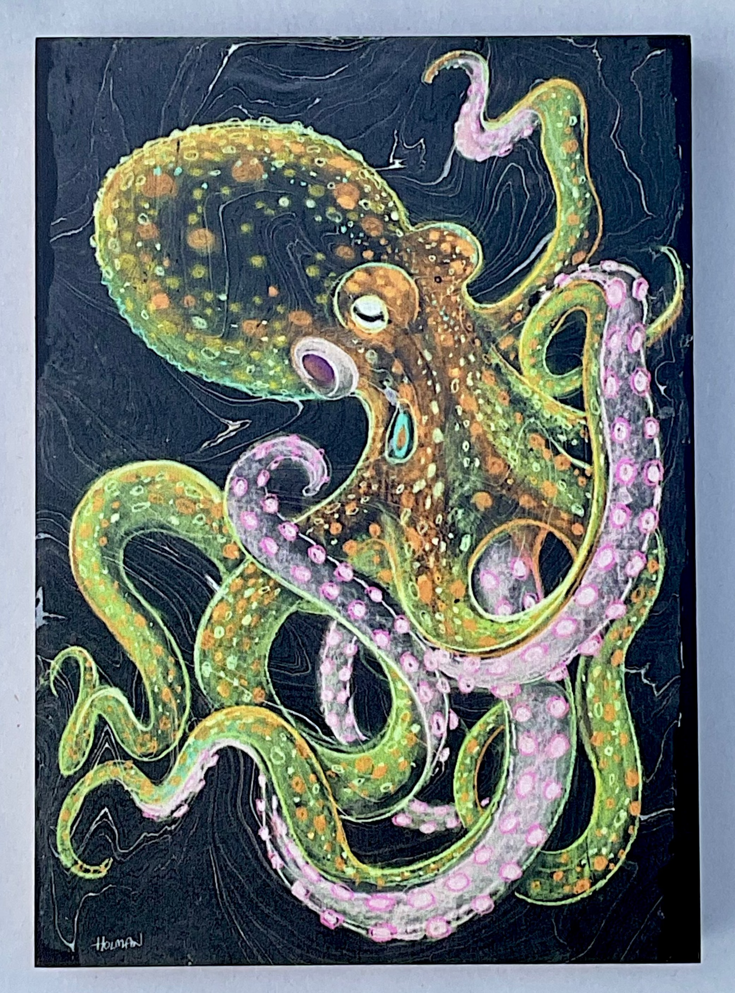 Octopus Print on Wood Panel Stephen Holman Consignment