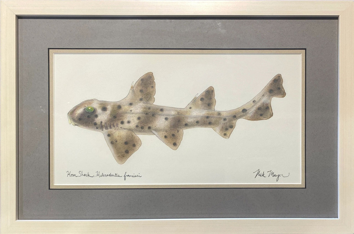 Original "Hornshark" Watercolor Nick Mayer Consignment