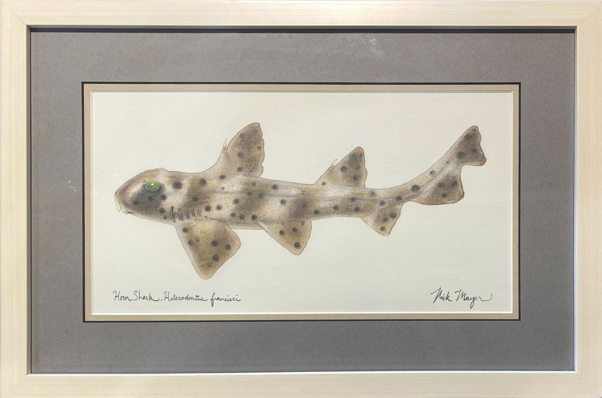 Original "Hornshark" Watercolor Nick Mayer Consignment