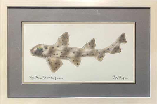 Original "Hornshark" Watercolor Nick Mayer Consignment