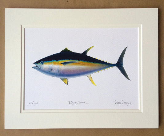 Tuna Giclee Prints Nick Mayer Inventory Big Eyed Tuna
