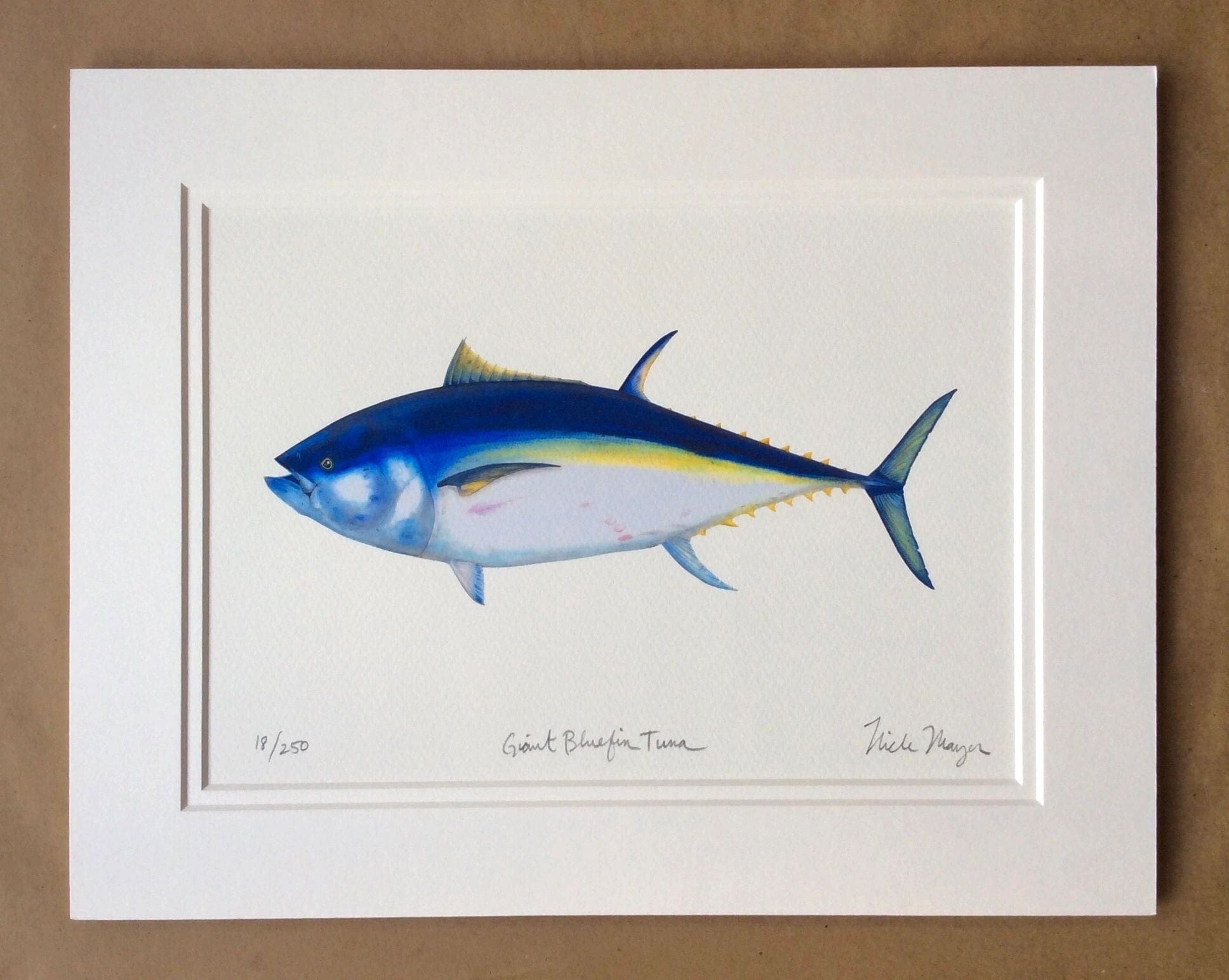 Fish Prints – Afishinados