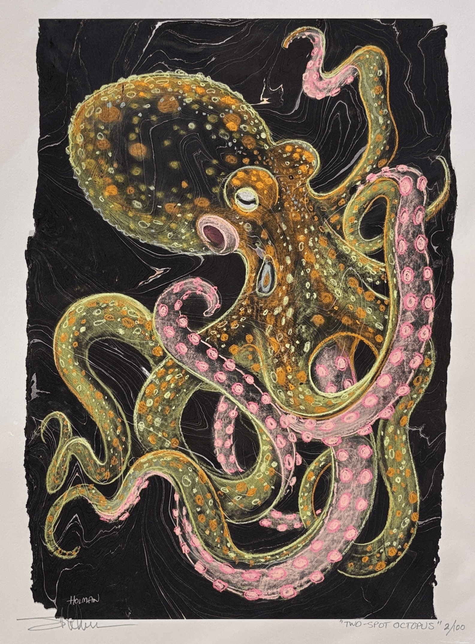 "2-Spot Octopus" Giclee in Pink Stephen Holman Consignment 9" x 12"