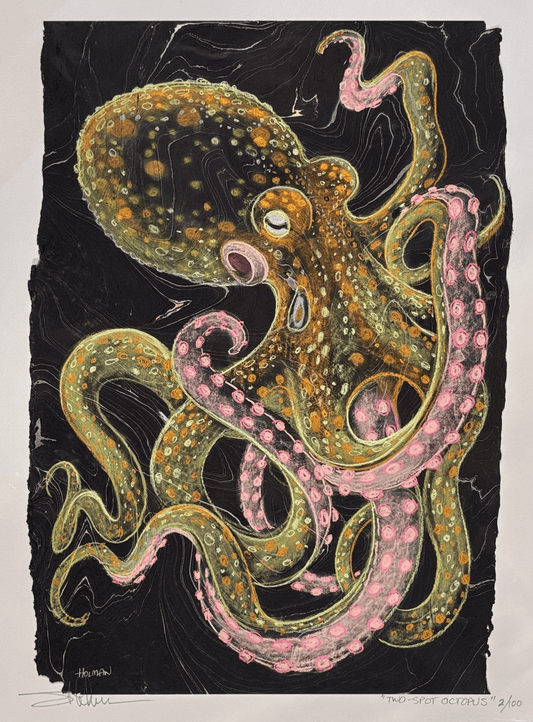 "2-Spot Octopus" Giclee in Pink Stephen Holman Consignment 9" x 12"