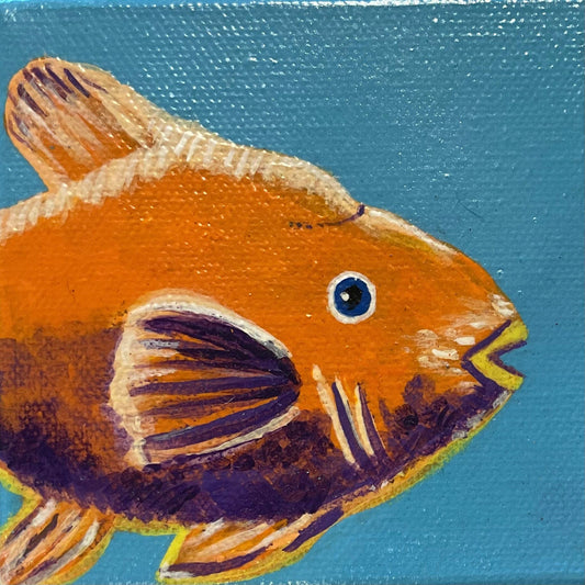 4" x 4" Fish Acrylic Paintings K Hawthorne Consignment