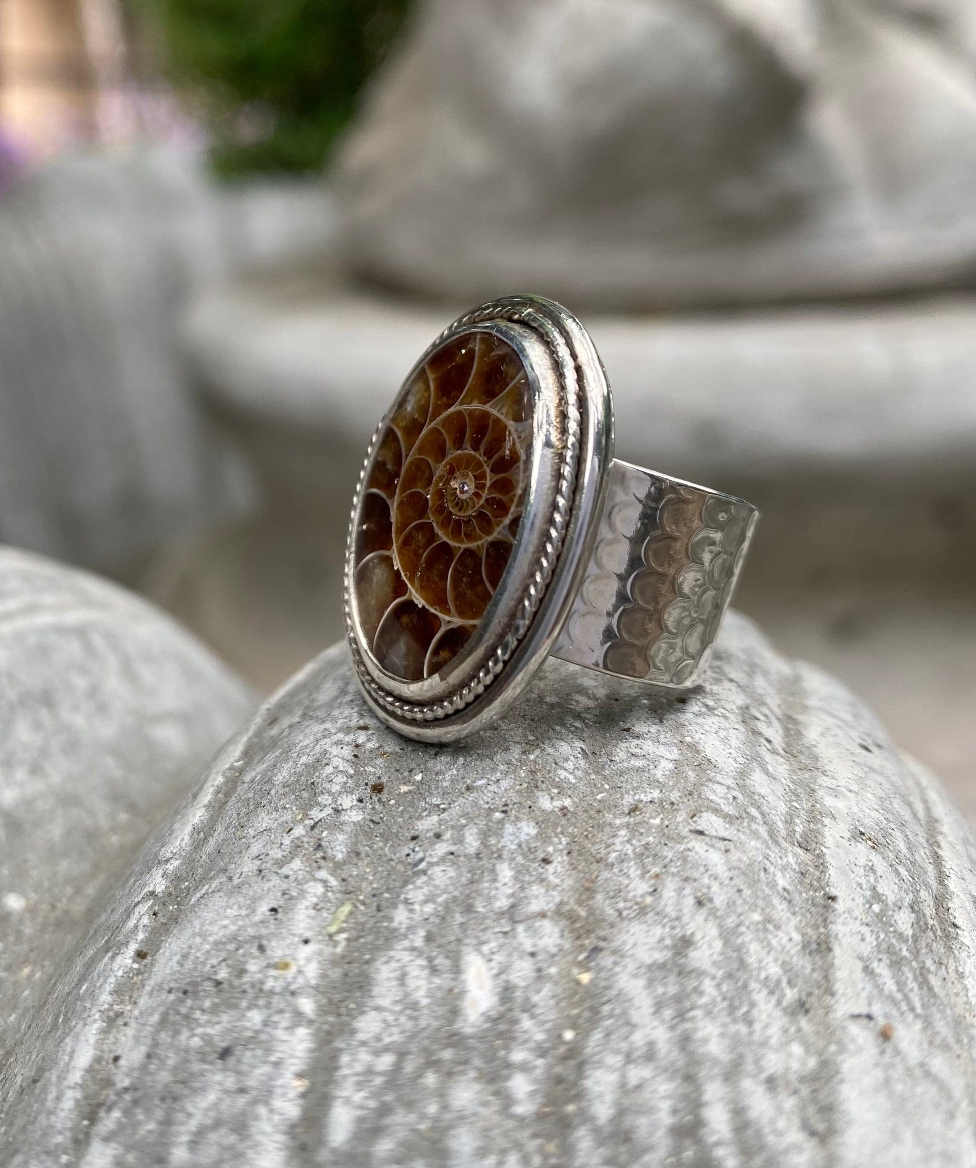Ammonite Sterling Ring Amy Jahn Consignment