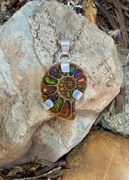 Ammonite Sterling Silver Necklace Amy Jahn Consignment