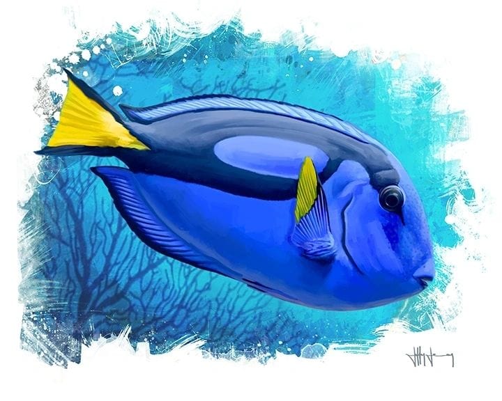 Blue Tang Print Jeff Jenny Consignment