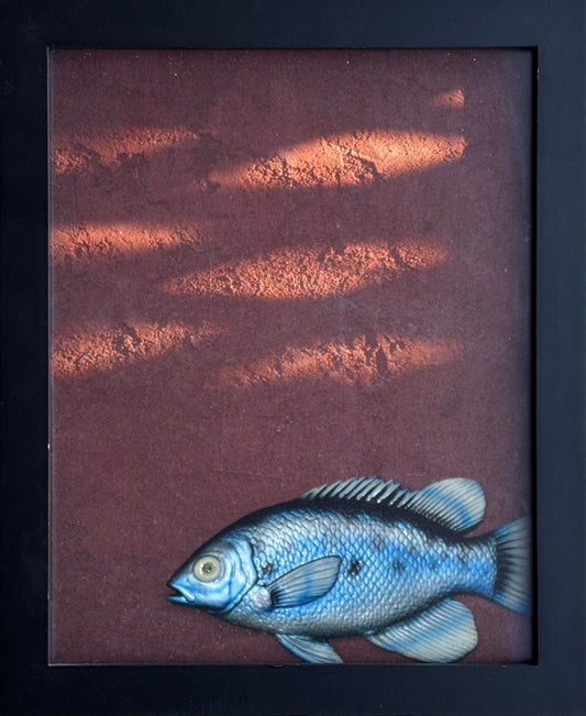 "Bluefish " Framed Print Juls Consignment