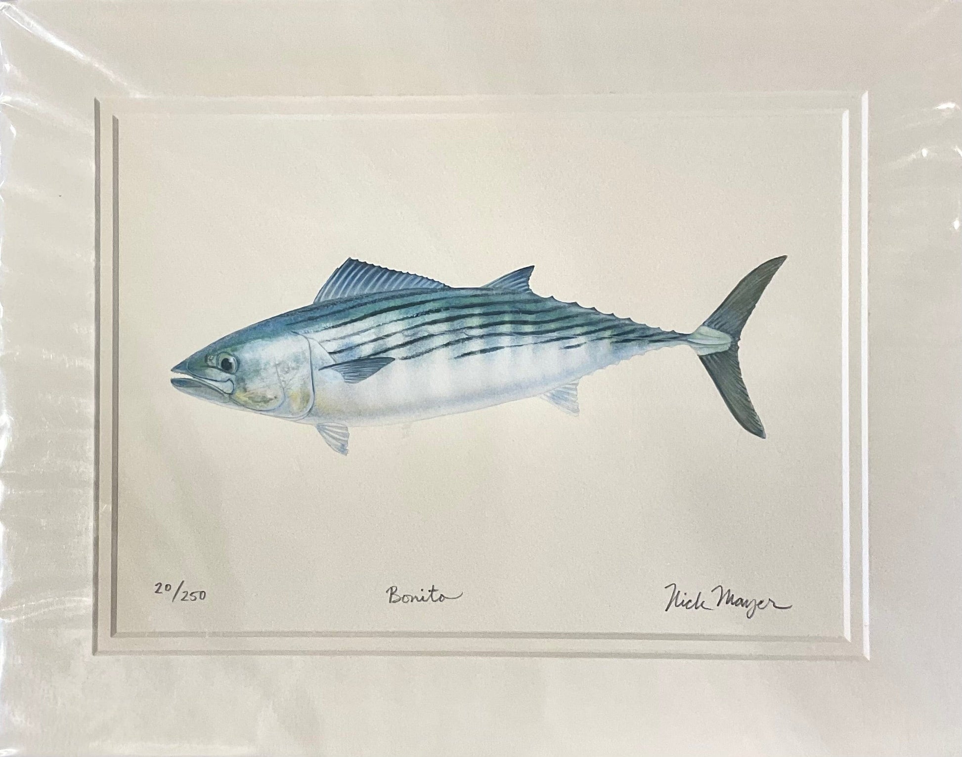 Bonita Giclee Print Nick Mayer Inventory