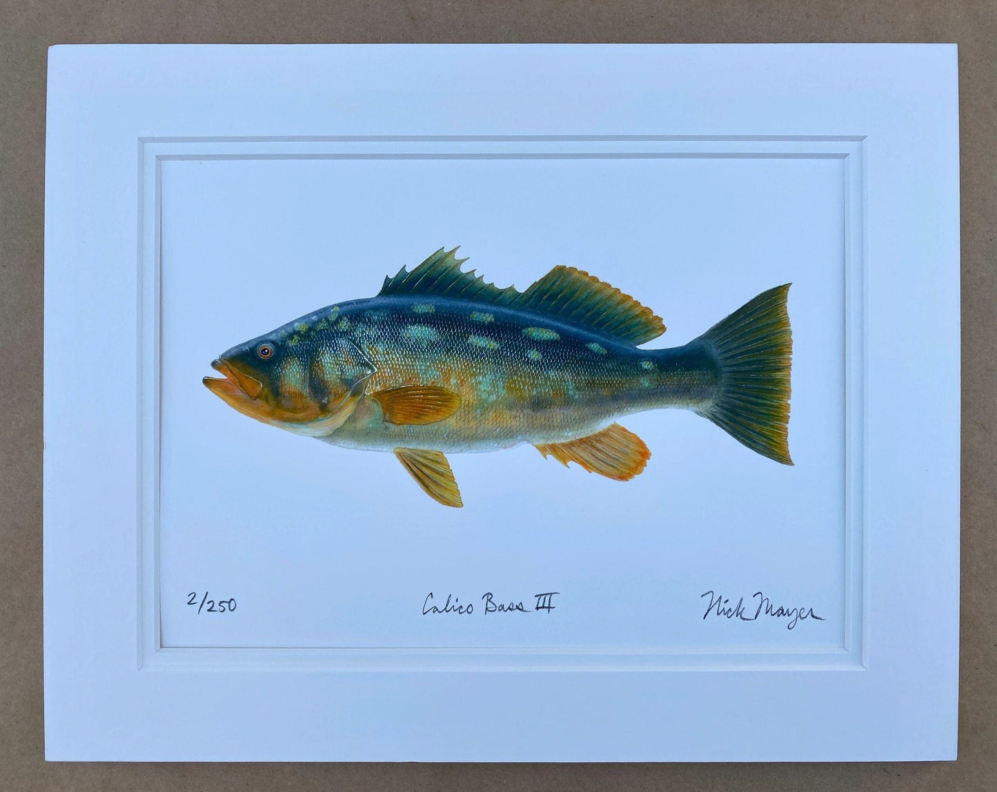 Calico Bass Giclee Print Nick Mayer Consignment Calico III