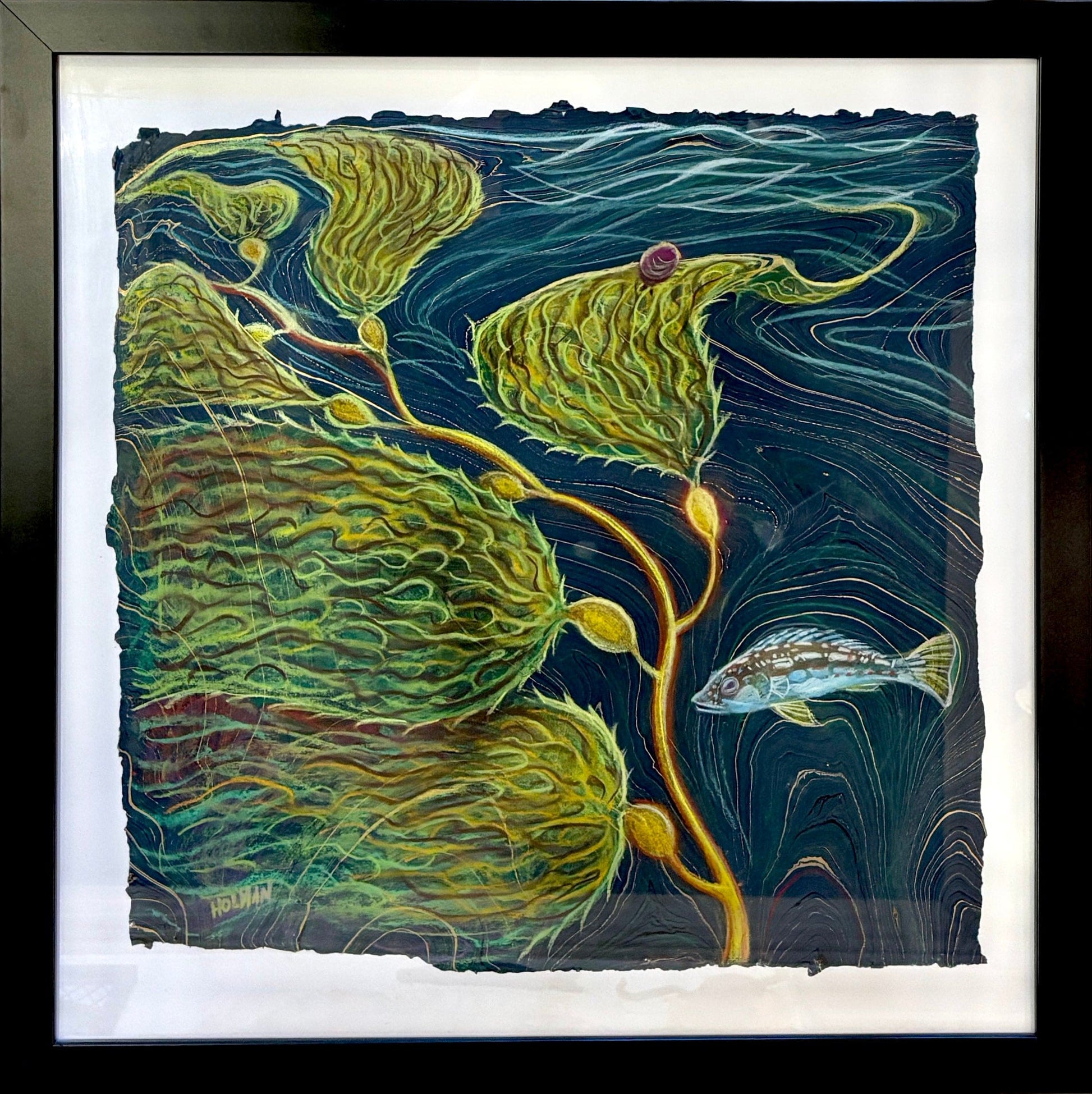 "Calico Bass in Kelp Forest" Original Pastel Drawing on Paper - Framed Stephen Holman Consignment
