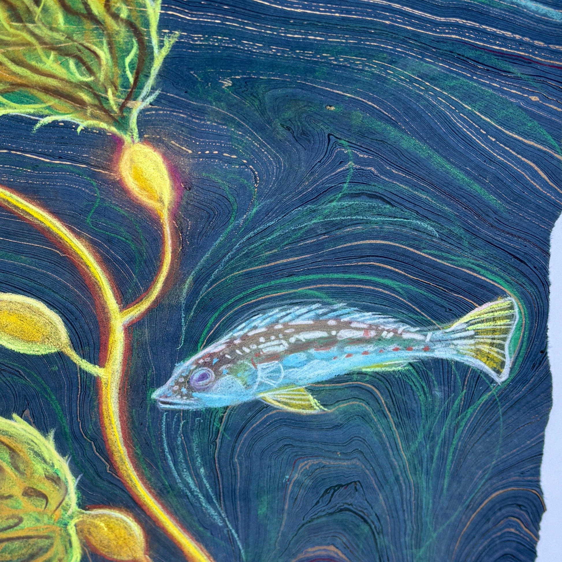 "Calico Bass in Kelp Forest" Original Pastel Drawing on Paper - Framed Stephen Holman Consignment