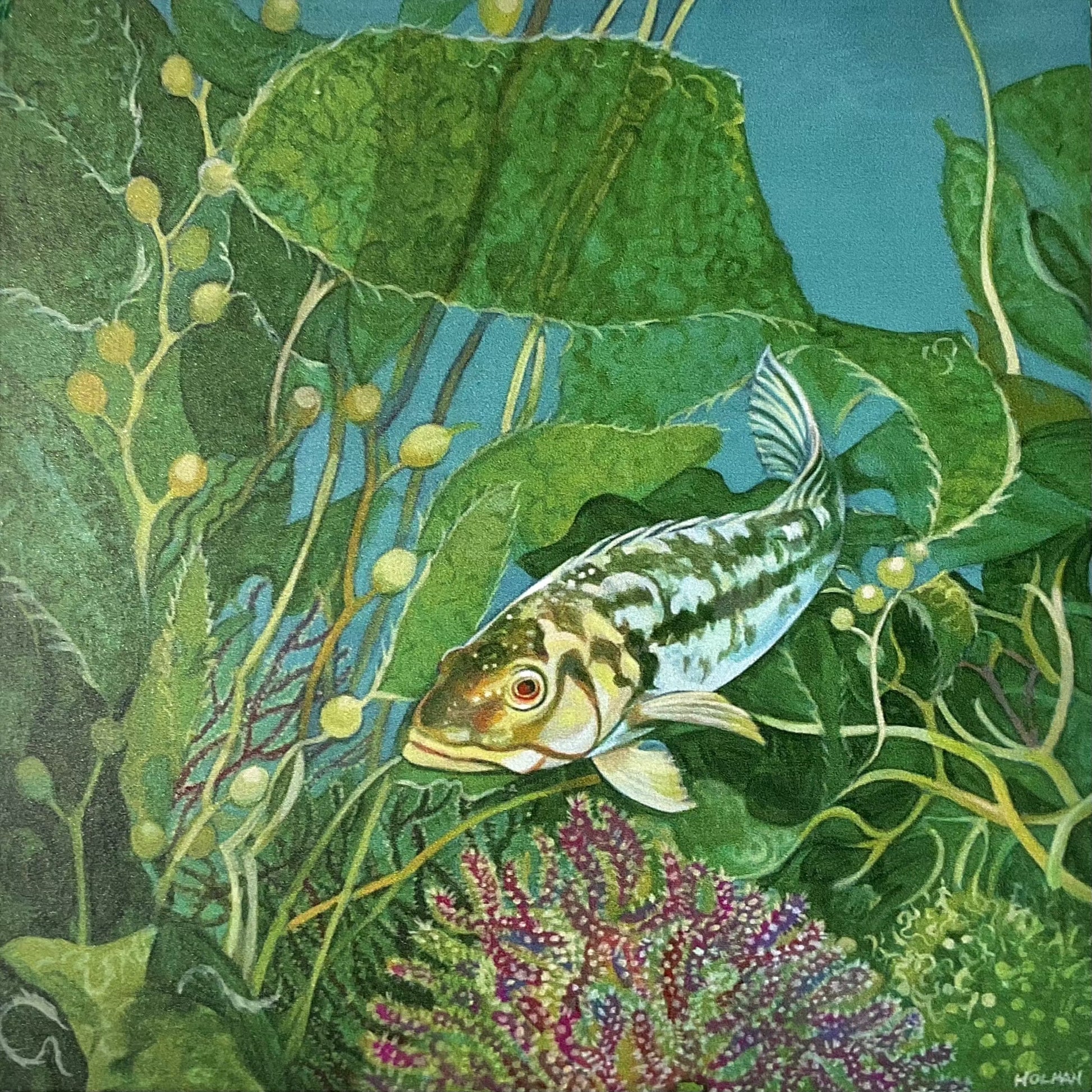 "Calico Bass" Print on Wood Stephen Holman Consignment