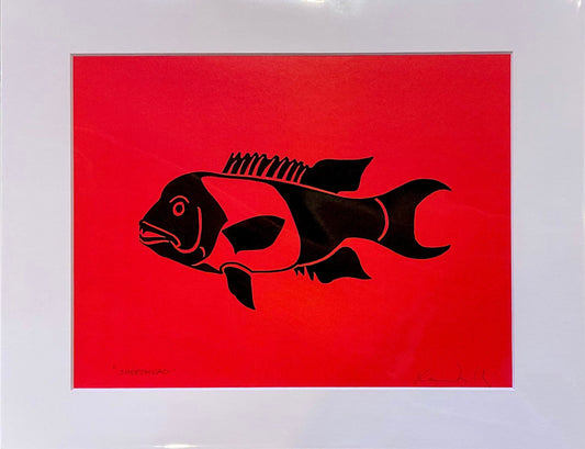 Catalina Fish Prints - Afishinados by Karen Afishinados Consignment SHEEPHEAD