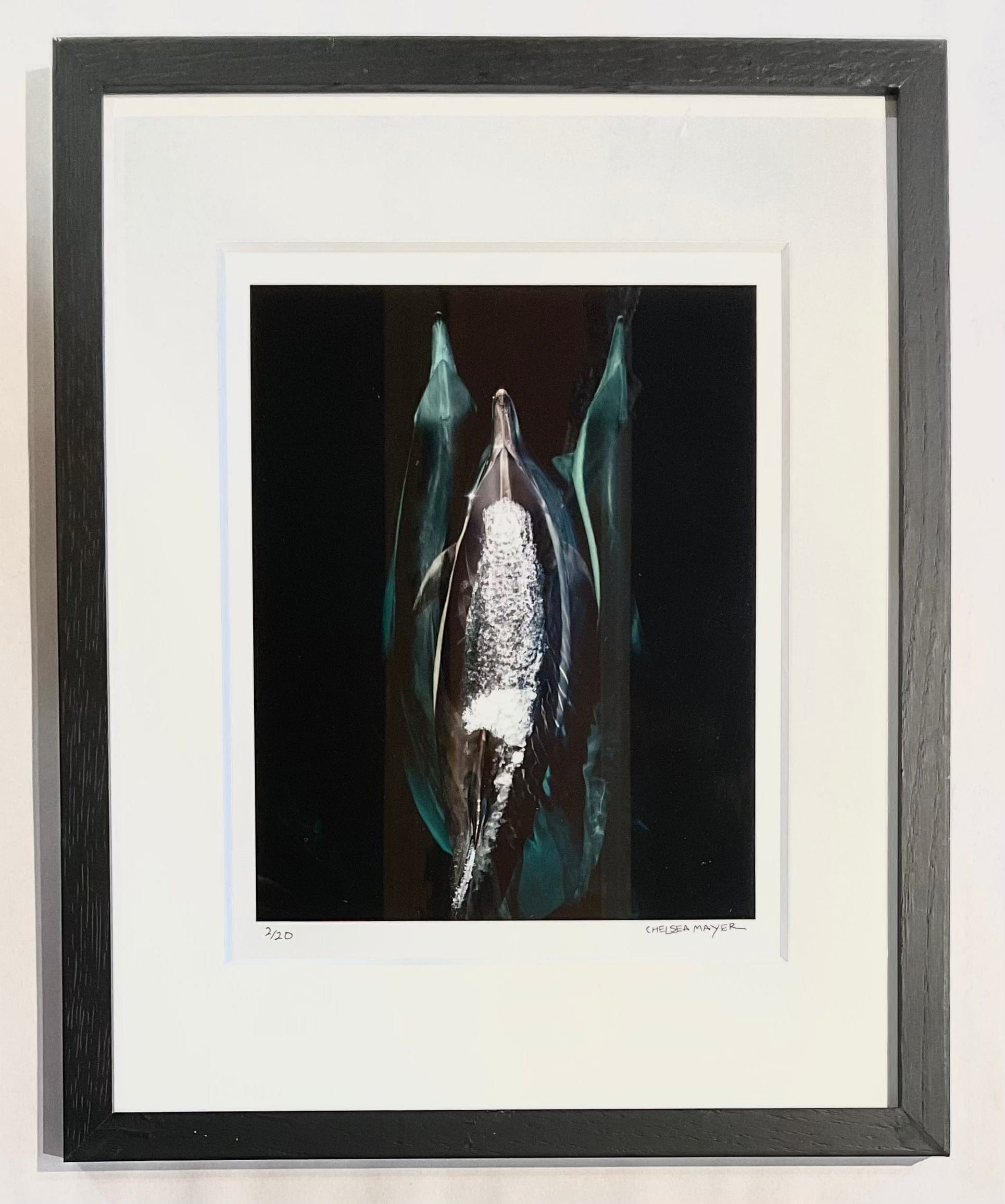 "Common Dolphin Trio" Limited Edition Print - FRAMED Chelsea Mayer Inventory