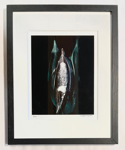 "Common Dolphin Trio" Limited Edition Print - FRAMED Chelsea Mayer Inventory