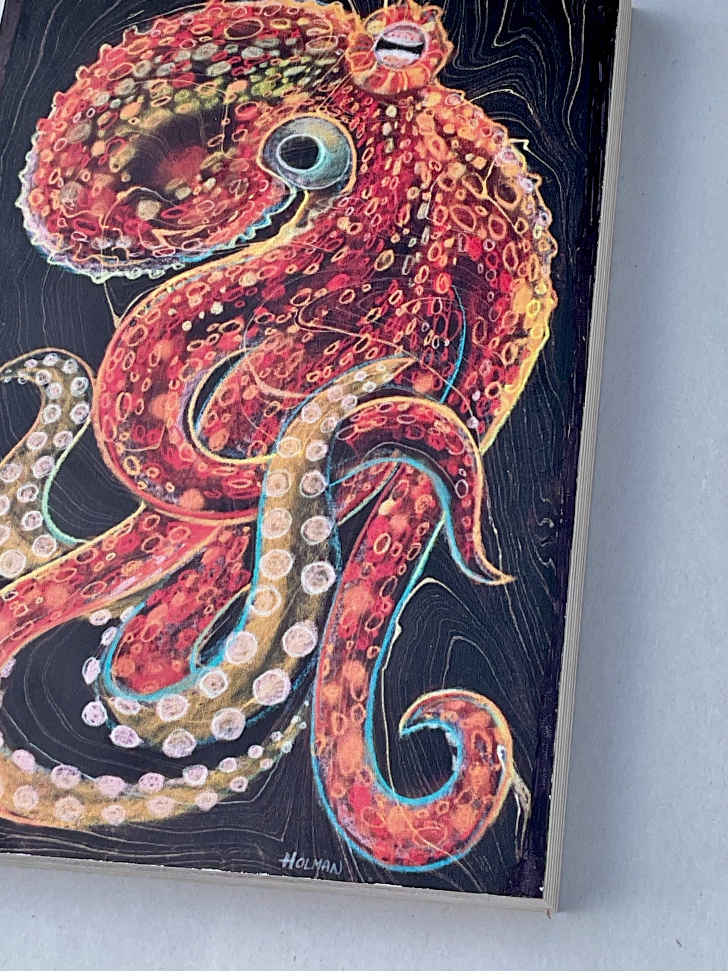 "Common Octopus" Wooden Print in Red/Black/Blue Stephen Holman Consignment
