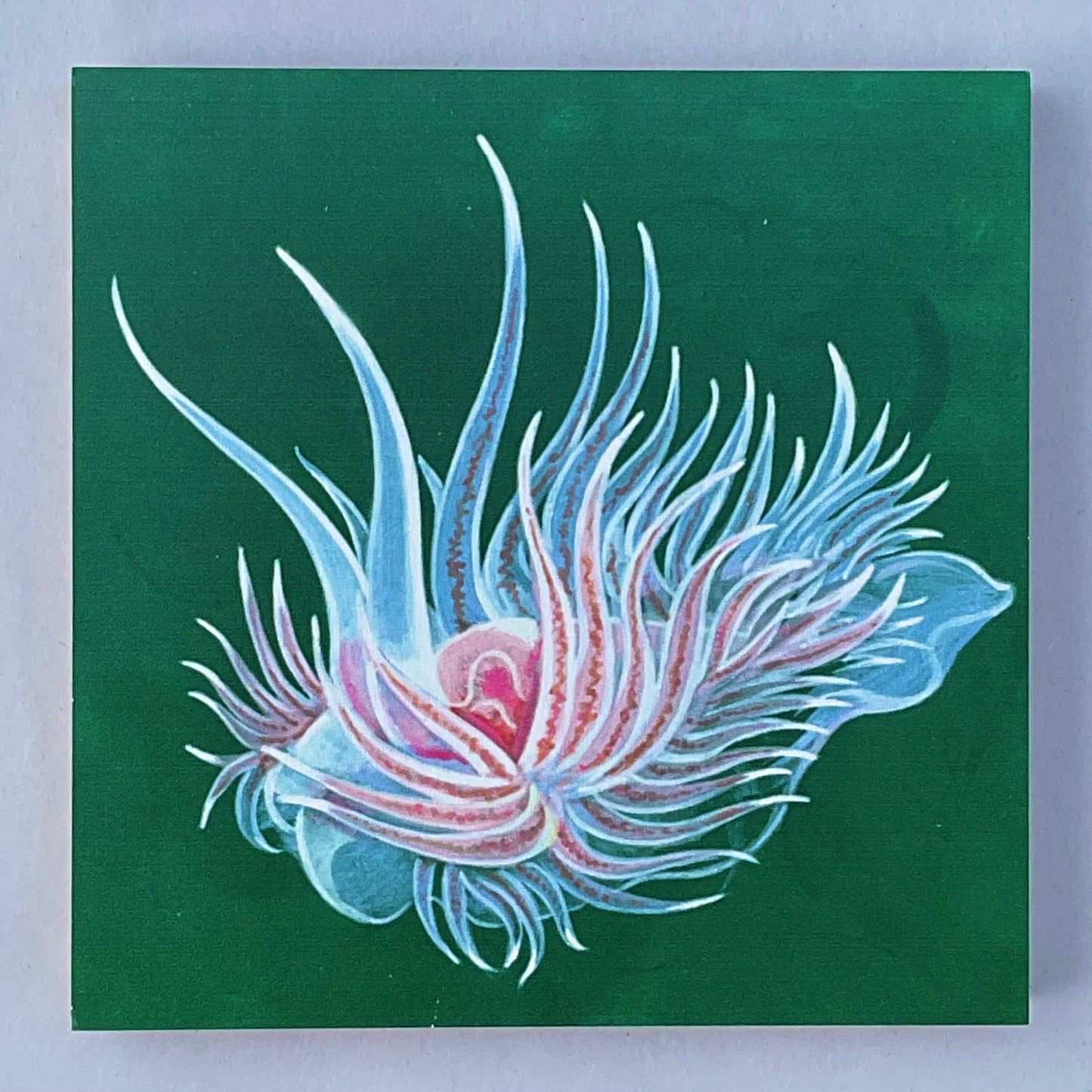 "Cumanotus Nudibranch" on Wood Panel Stephen Holman Consignment