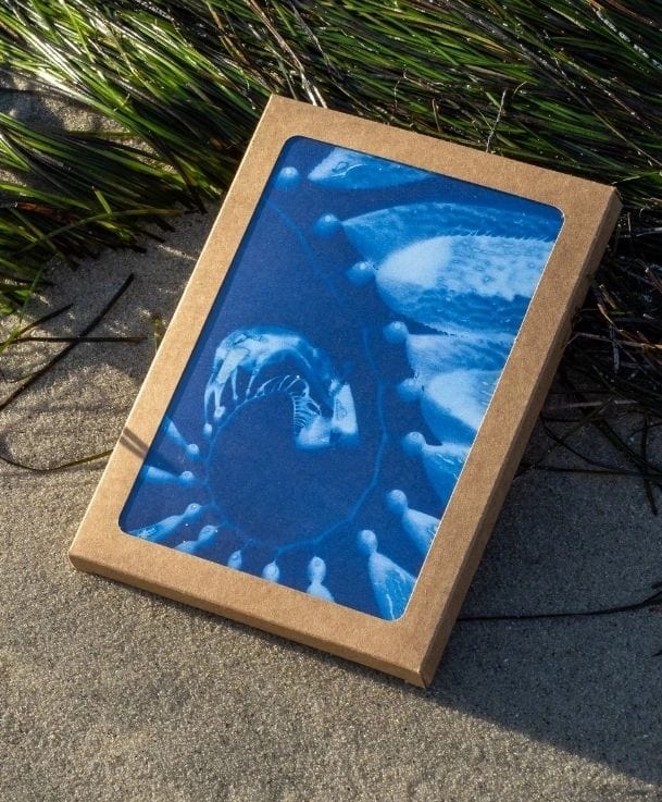 Cyanotype Greeting Card Set O Poindexter Consignment