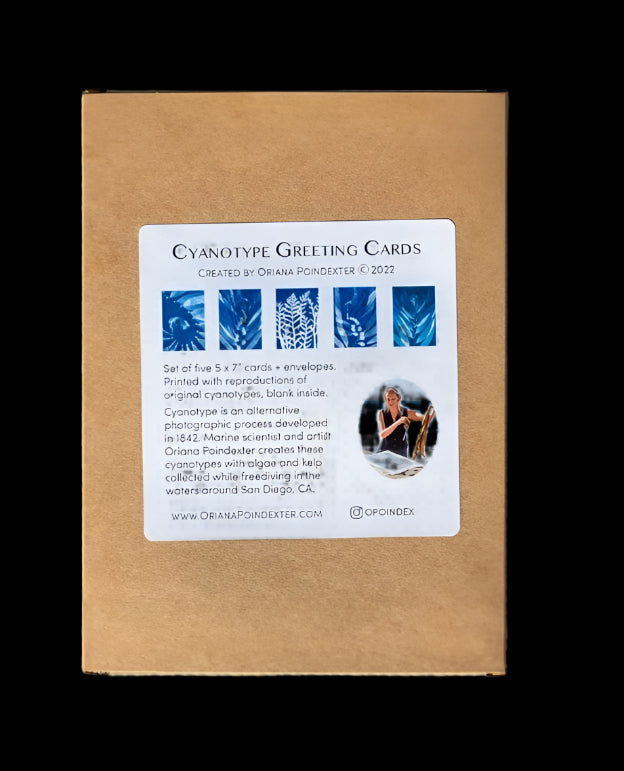 Cyanotype Greeting Card Set O Poindexter Consignment