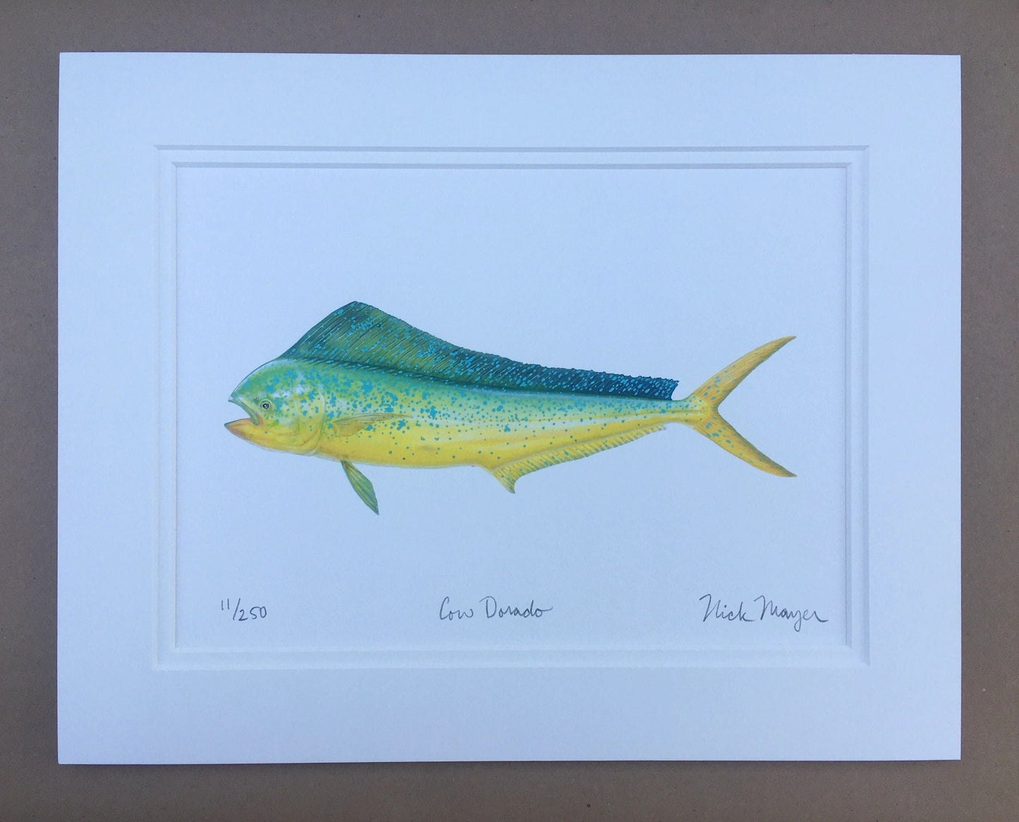 Dorado Giclee Print Nick Mayer Inventory Cow Dorado - Small: 11" x 14"