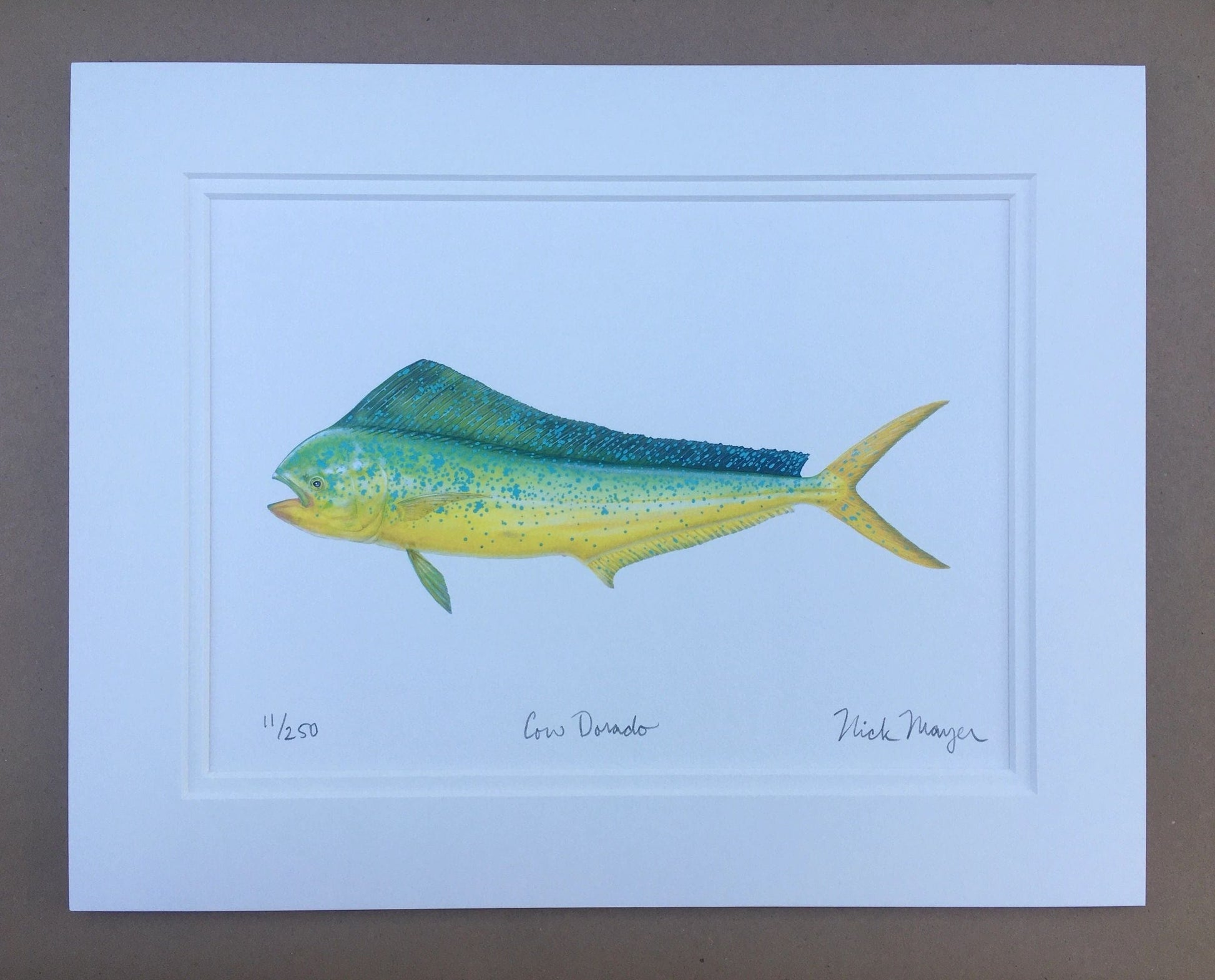 Dorado Giclee Print Nick Mayer Inventory Cow Dorado - Small: 11" x 14"