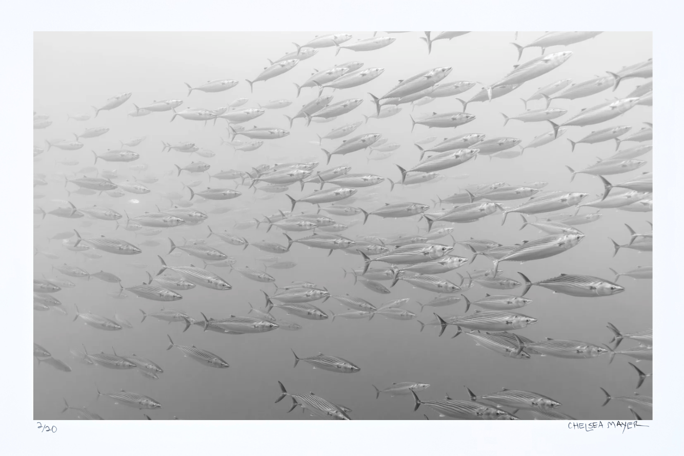 "Edge of the Pacific" Limited Edition Print Chelsea Mayer Consignment