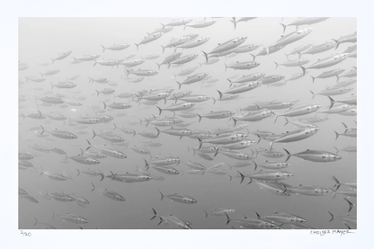 "Edge of the Pacific" Limited Edition Print Chelsea Mayer Consignment