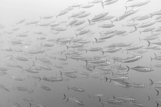 "Edge of the Pacific" Limited Edition Print Chelsea Mayer Consignment