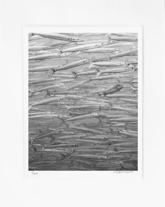 "From Inside the Gyre" Limited Edition Print Chelsea Mayer Consignment
