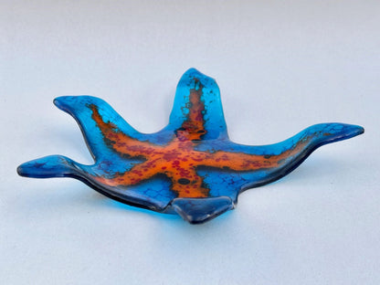 Fused Glass Sea Star by Yen Yen Joy Inventory