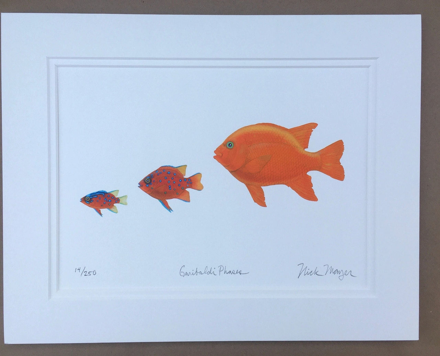 Garibaldi Giclee Prints Nick Mayer Inventory Garibaldi Phases (sm)