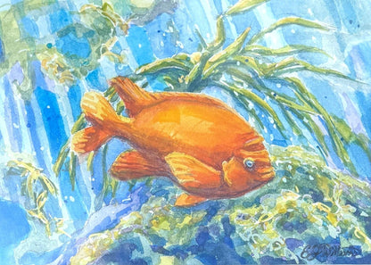 "Garibaldi Life" Original Watercolor Painting EJ Williams Consignment