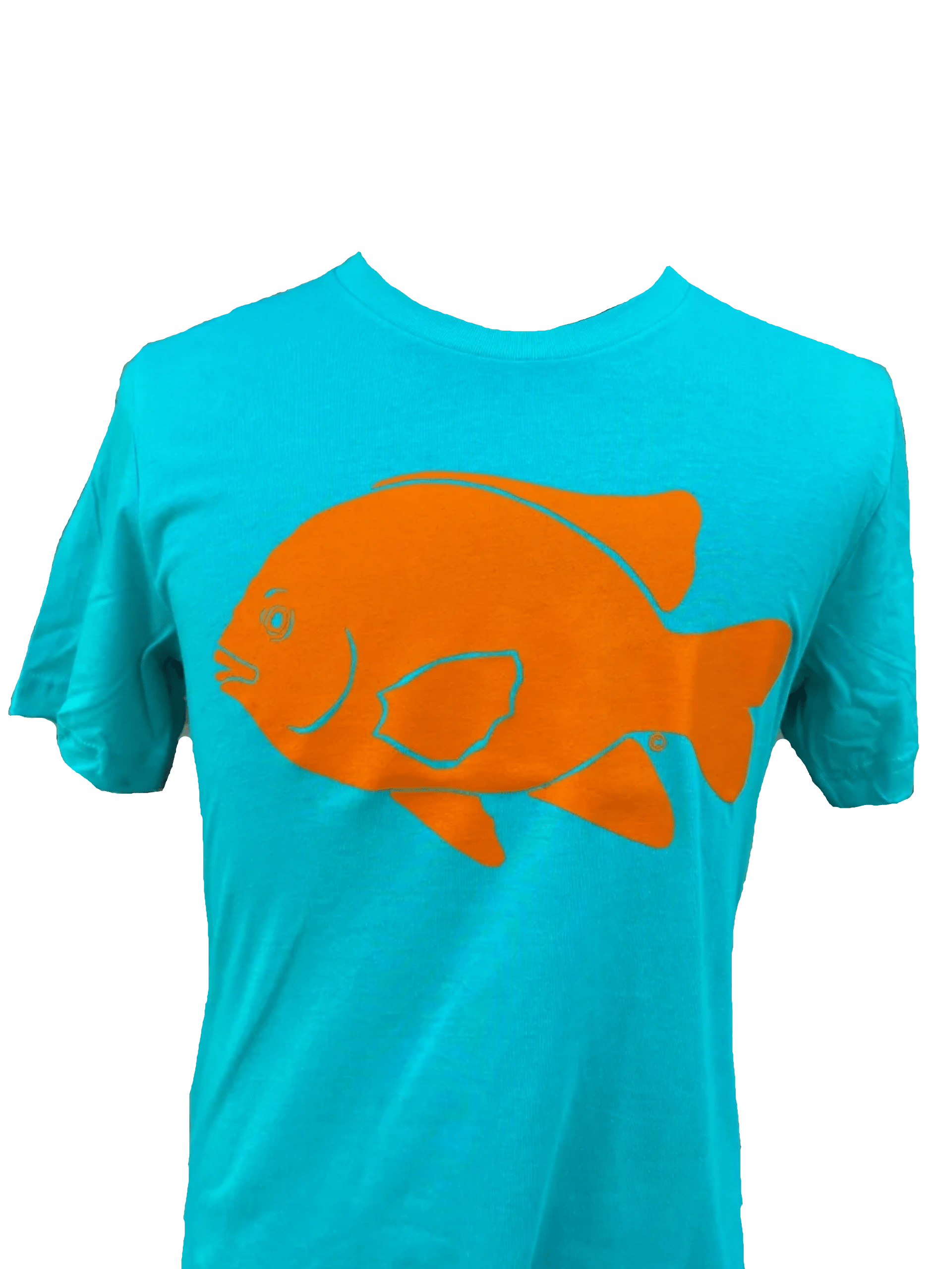 Garibaldi T-Shirt - Aqua Afishinados Inventory