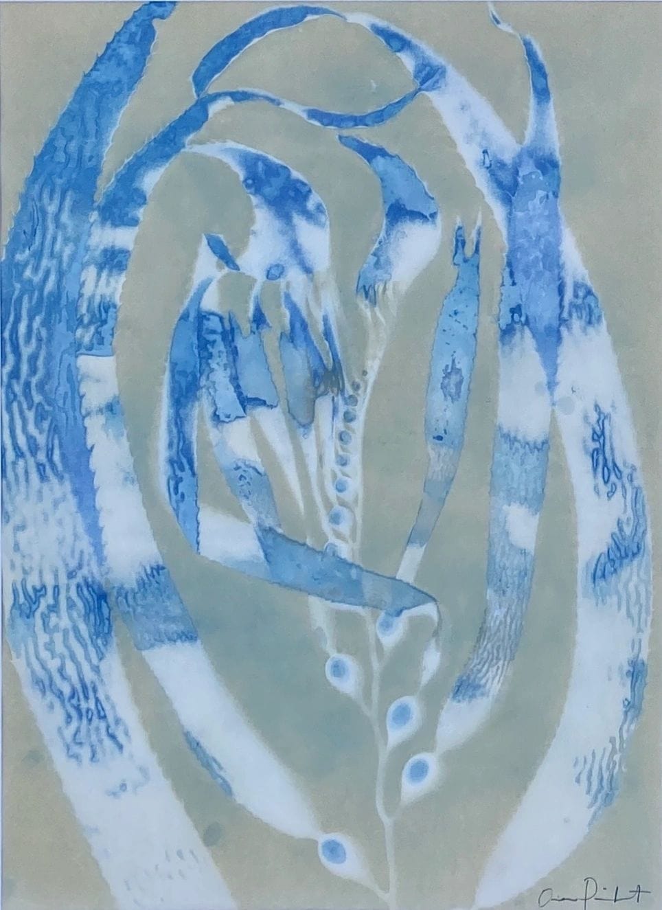 "Giant Kelp Study 48" Original Cyanotype, Algae Toned O Poindexter Consignment