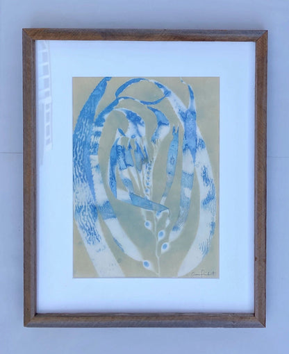 "Giant Kelp Study 48" Original Cyanotype, Algae Toned O Poindexter Consignment