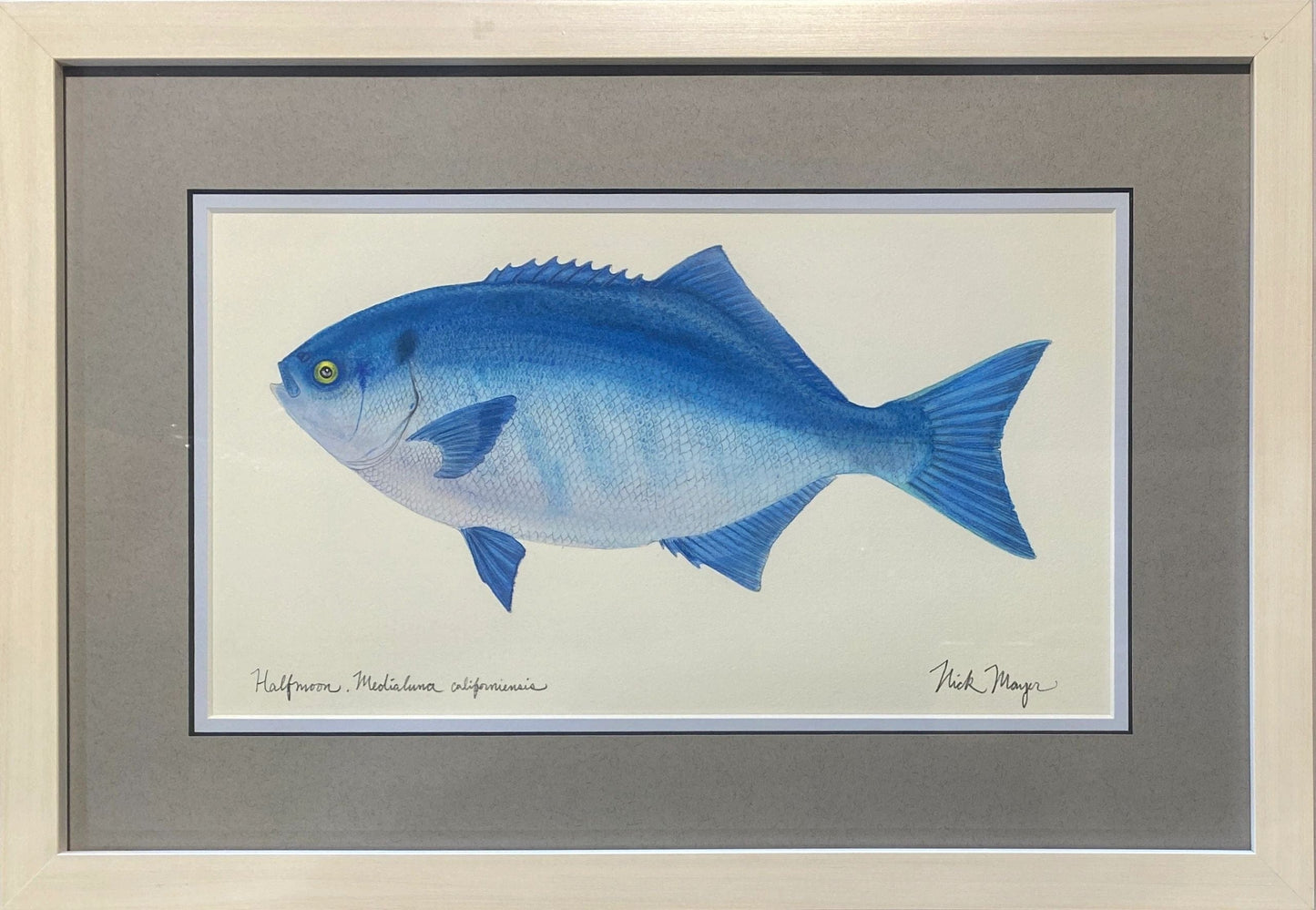 "Halfmoon" Watercolor Painting Nick Mayer Consignment