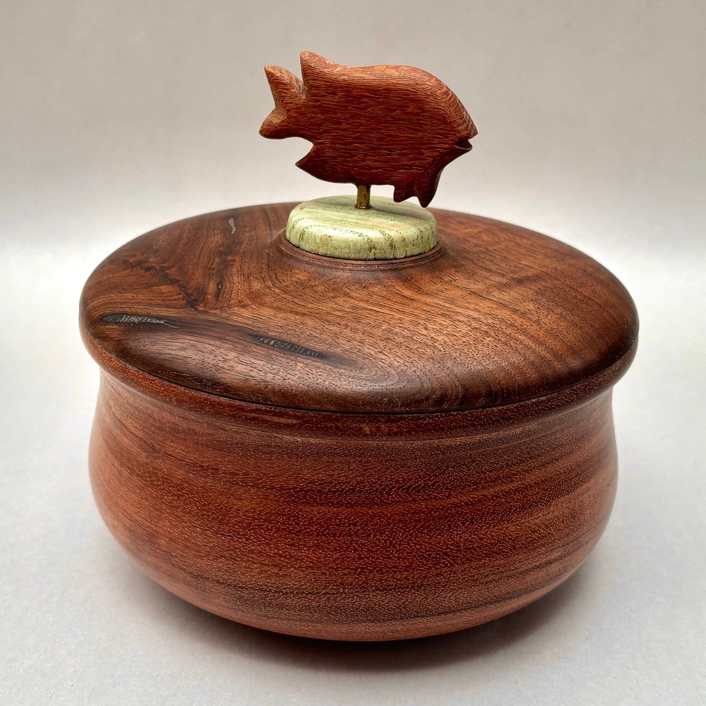 Hand Turned Wooden Box Laughing Moon Consignment Bubinga/Osage Orange w/Garibaldi : 6" x 4.75"