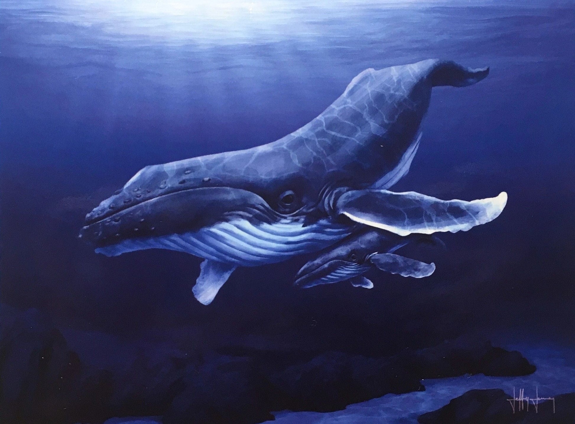 Humpback Whale and Baby Print John Jenny Inventory