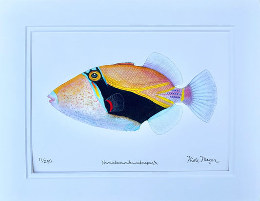 Humuhumunukunukuapua'a Giclee Print Nick Mayer Inventory